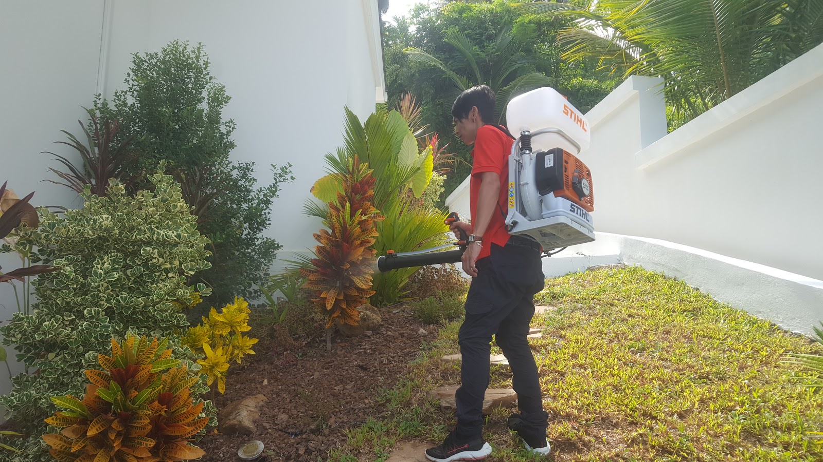 3D Pest Control