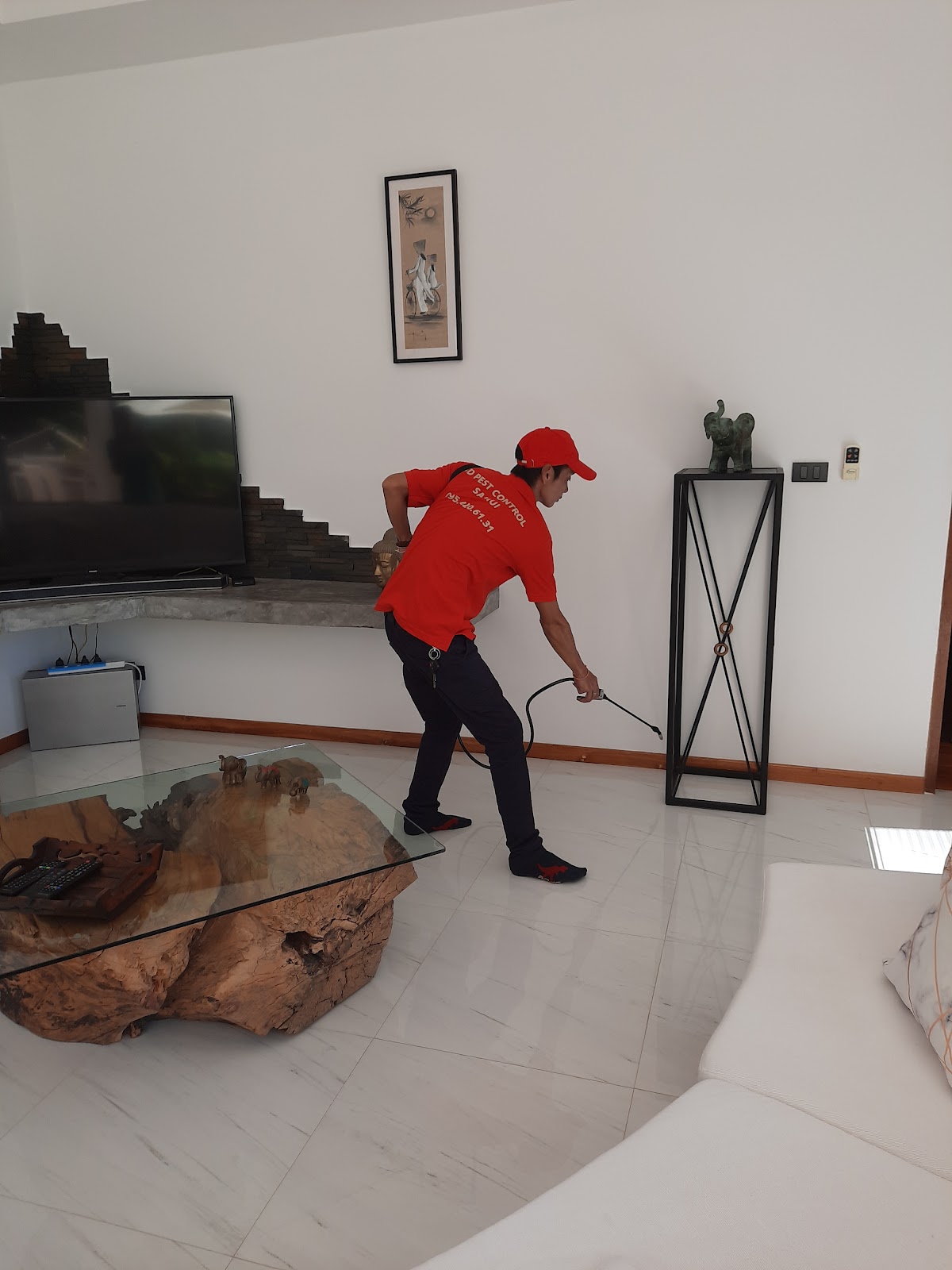 3D Pest Control - Gallery image 4