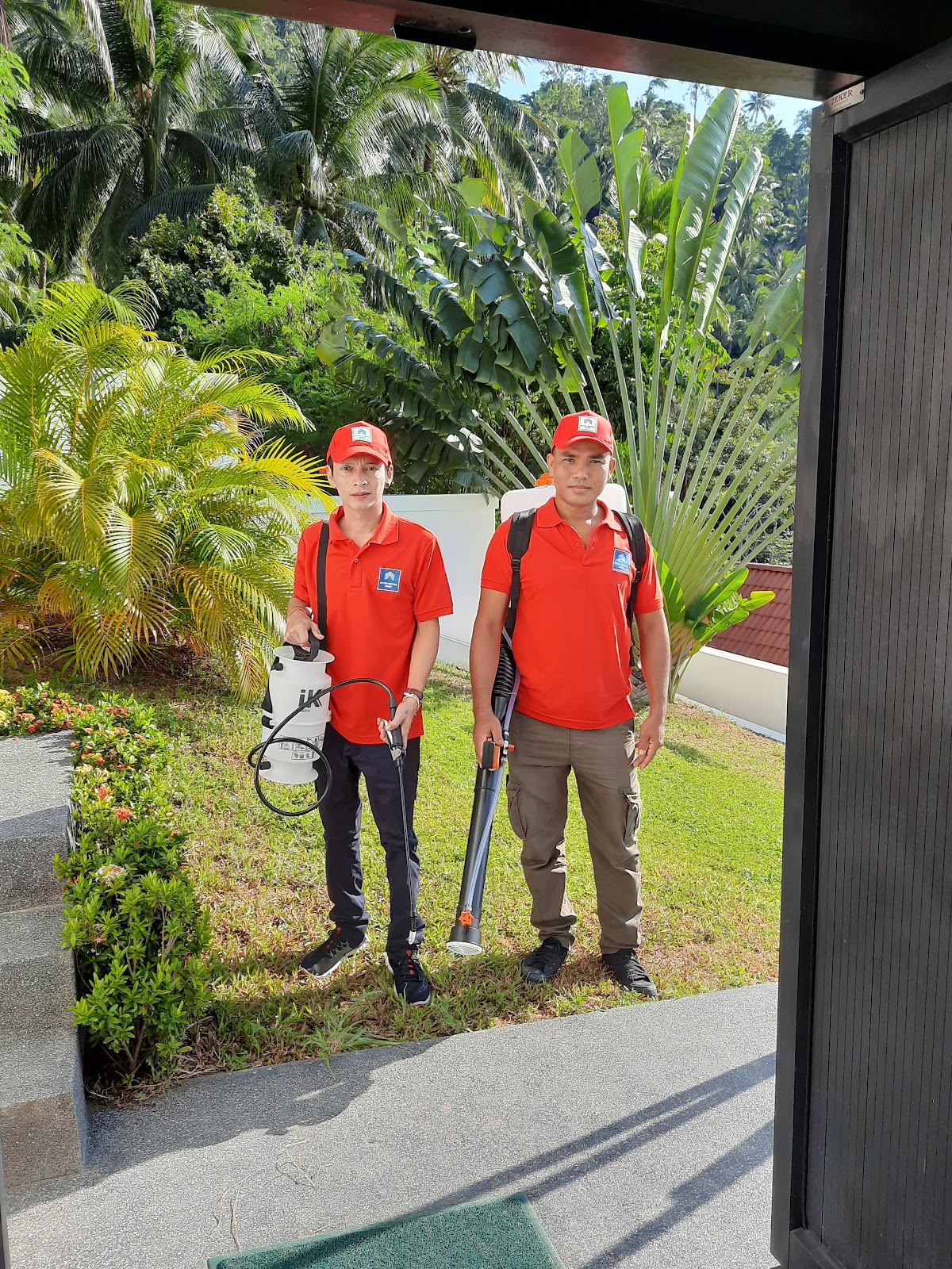 3D Pest Control - Gallery image 5