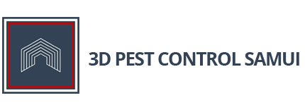 3D Pest Control - Gallery image 6