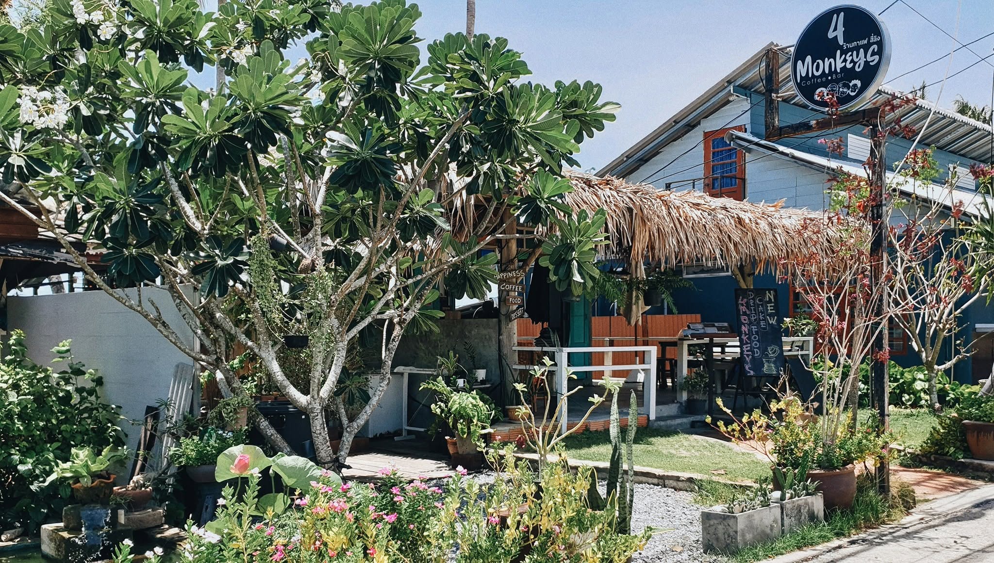 4Monkeys Coffee & Bar - Gallery image 9