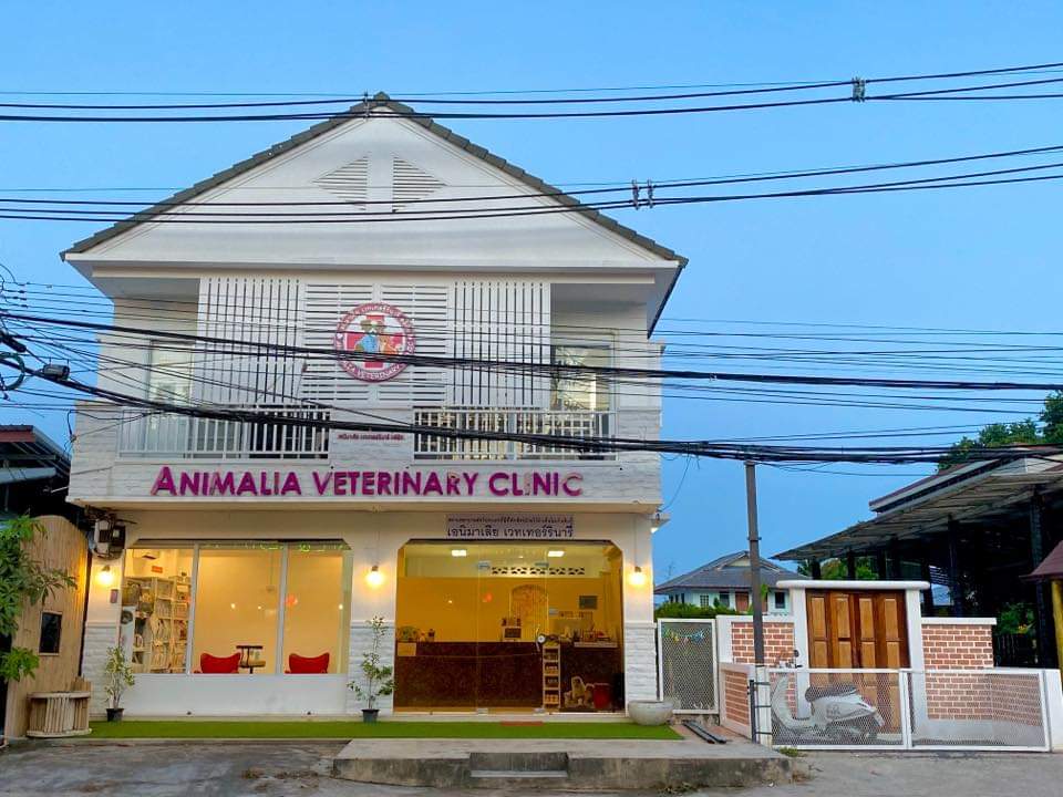 Animalia Pet Hospital