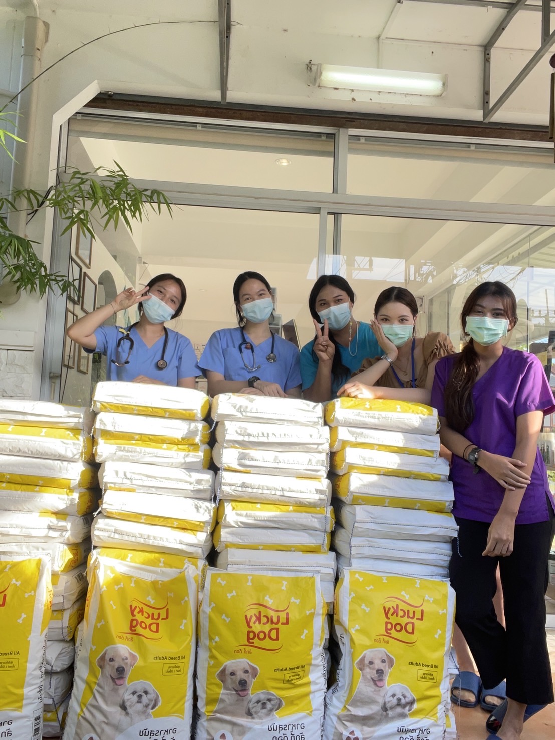 Animalia Pet Hospital