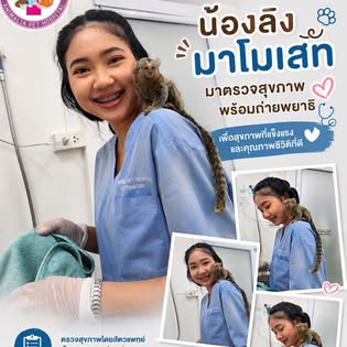 Animalia Pet Hospital - Gallery image 8