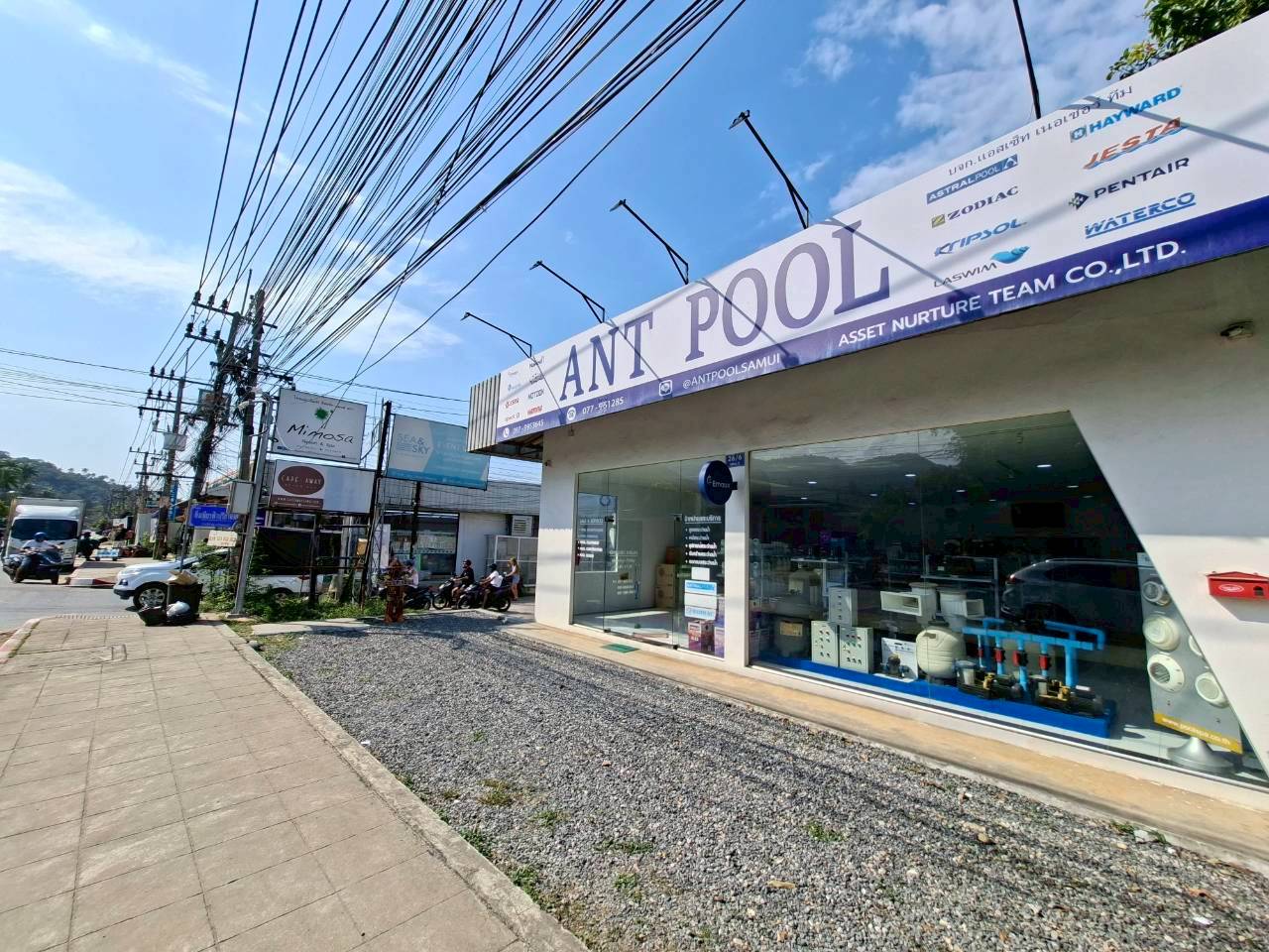 Ant Pool Maintenance