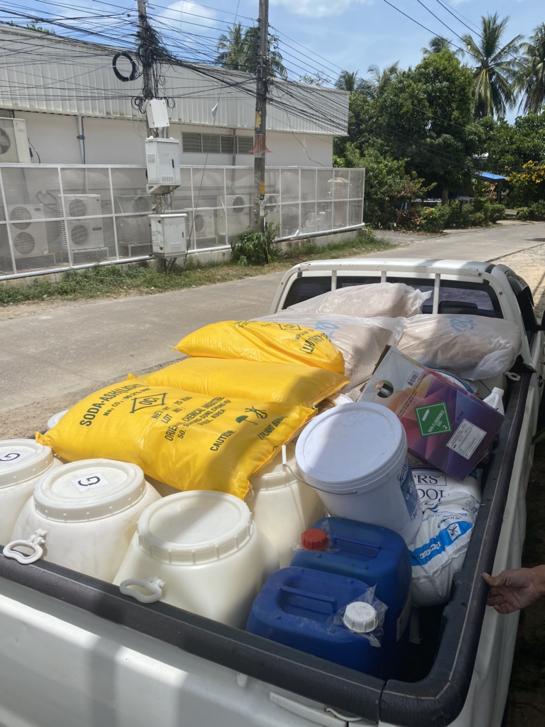 Ant Pool Maintenance - Gallery image 5