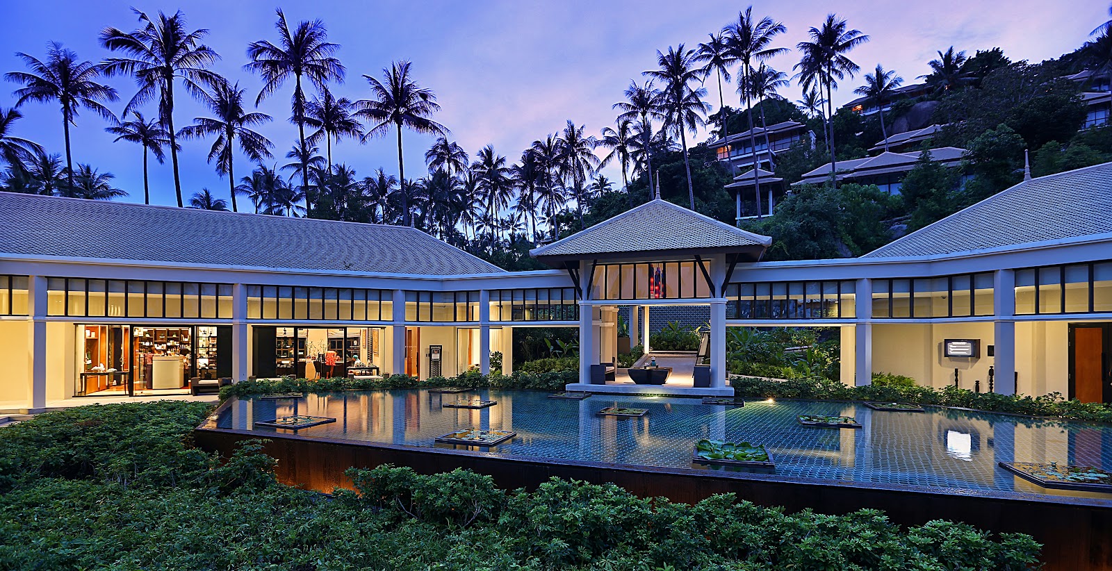 Banyan Tree