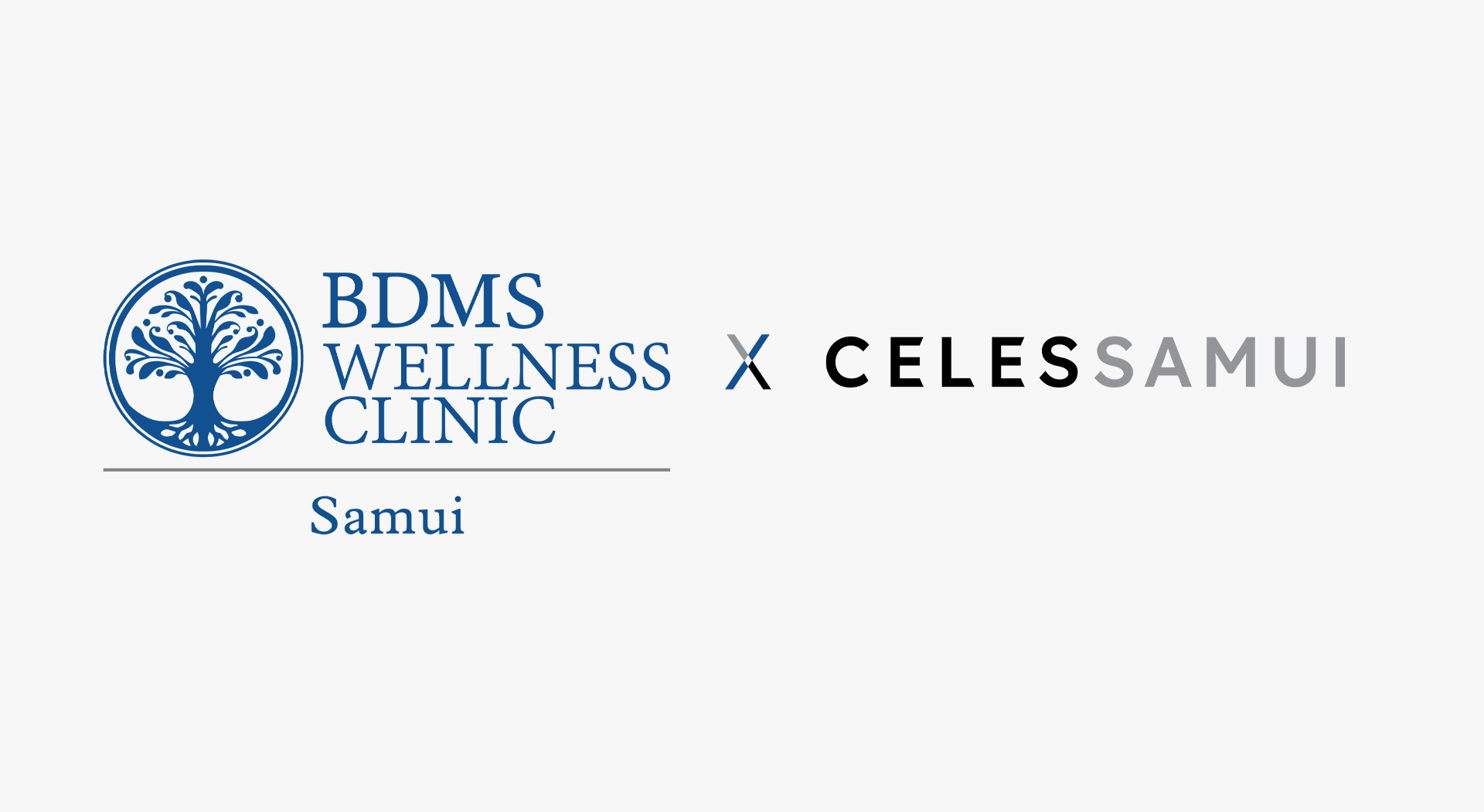 BDMS Wellness Clinic - Gallery image 6