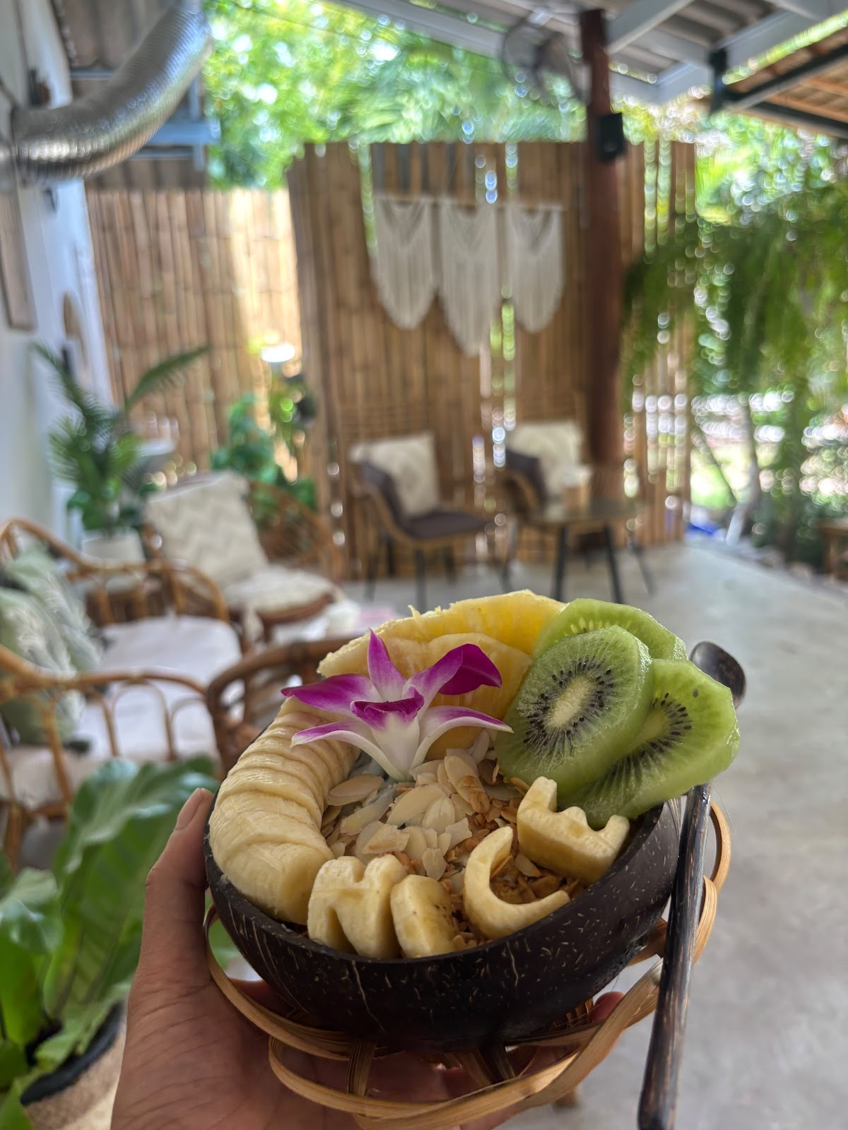 Beach Coconuts Bowls