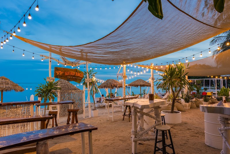 Buffalo Jungle Beach Club