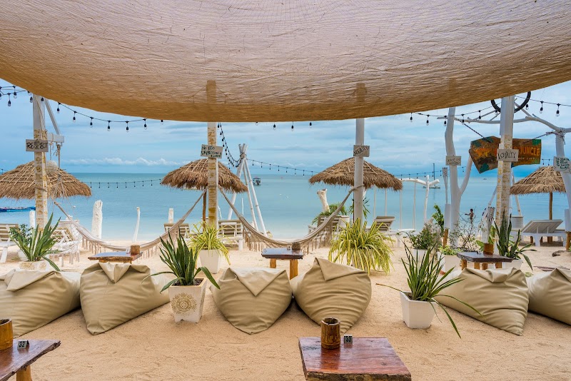 Buffalo Jungle Beach Club - Gallery image 2