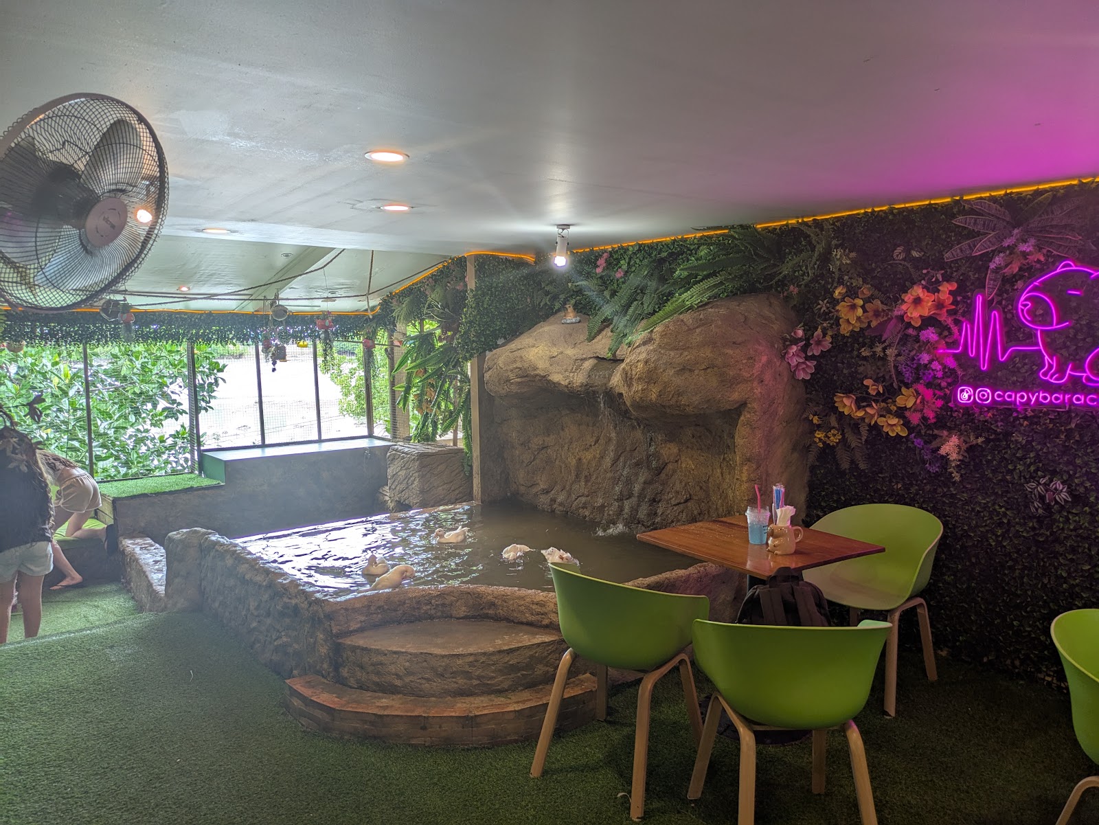 Capybara Coffee - Gallery image 5