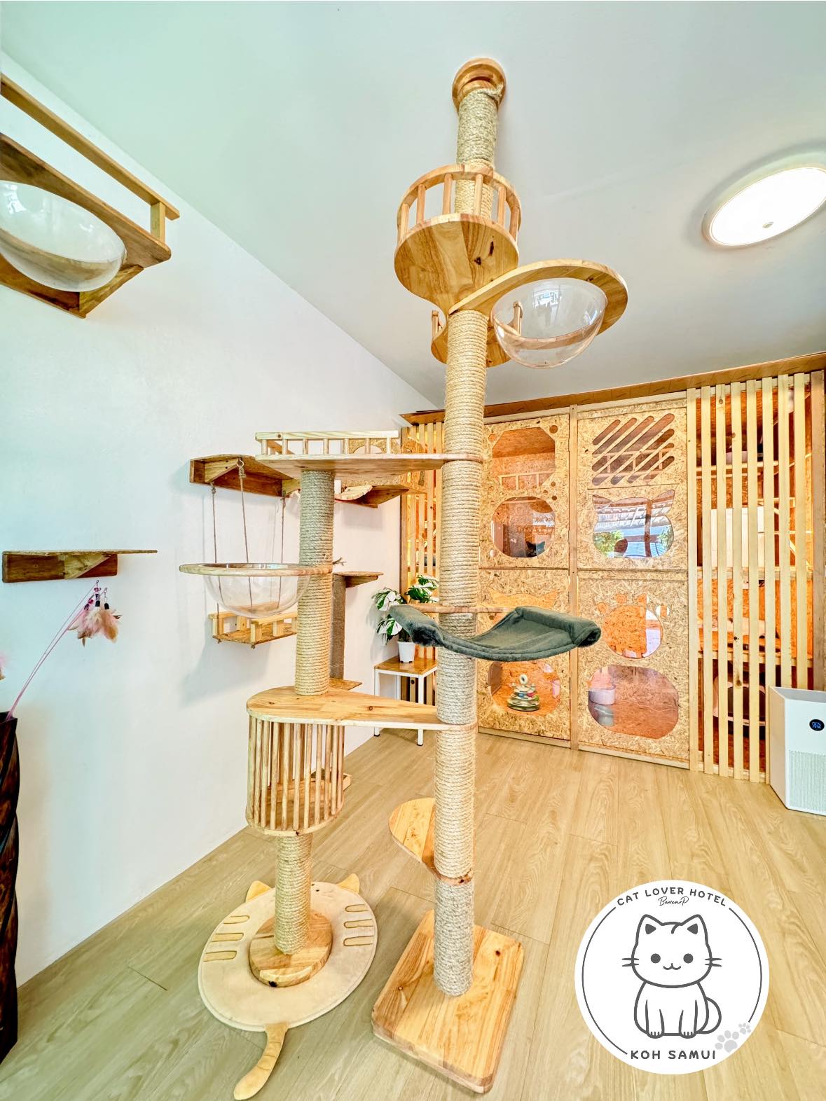 Cat Lover Hotel