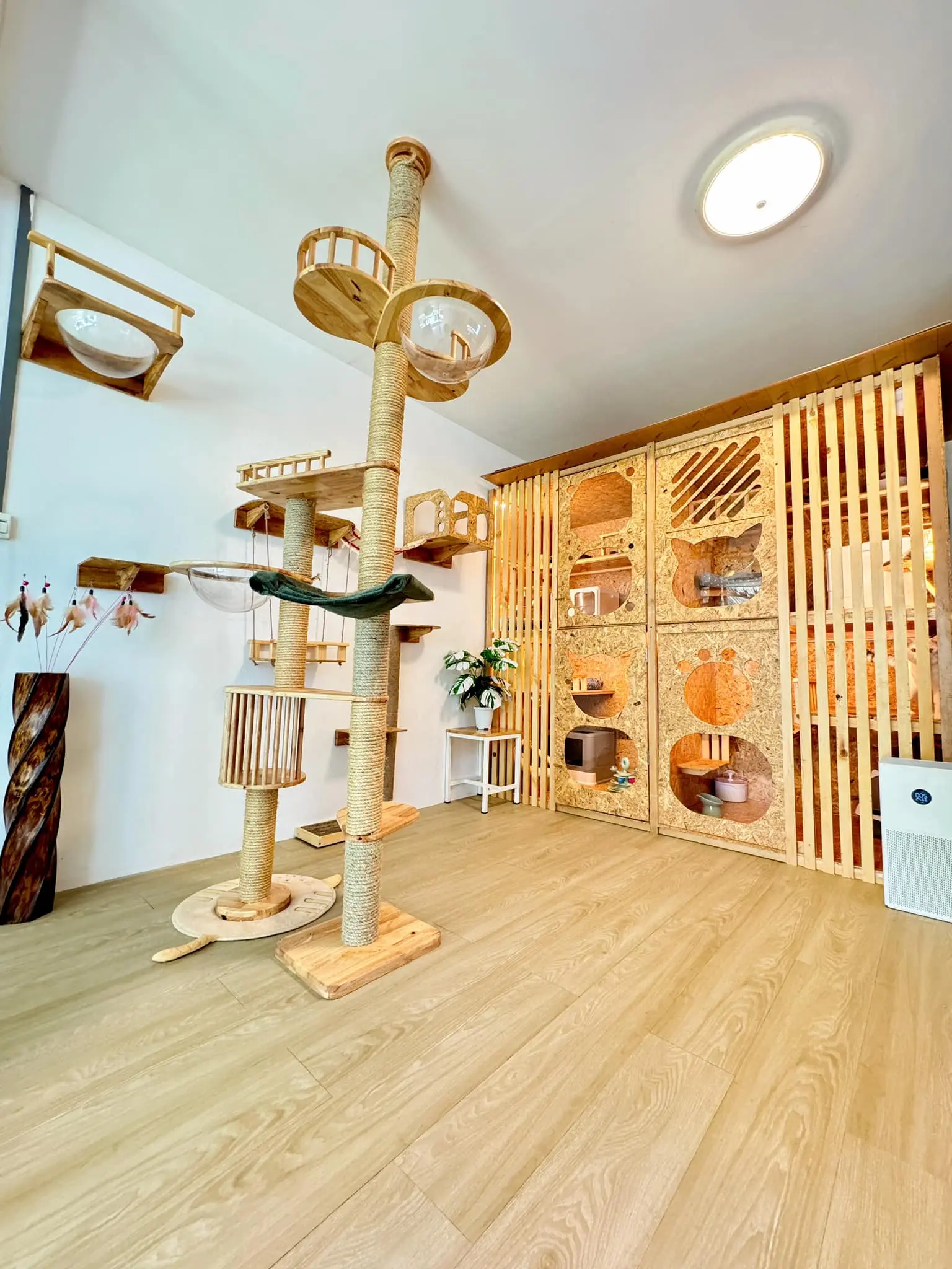 Cat Lover Hotel - Gallery image 6