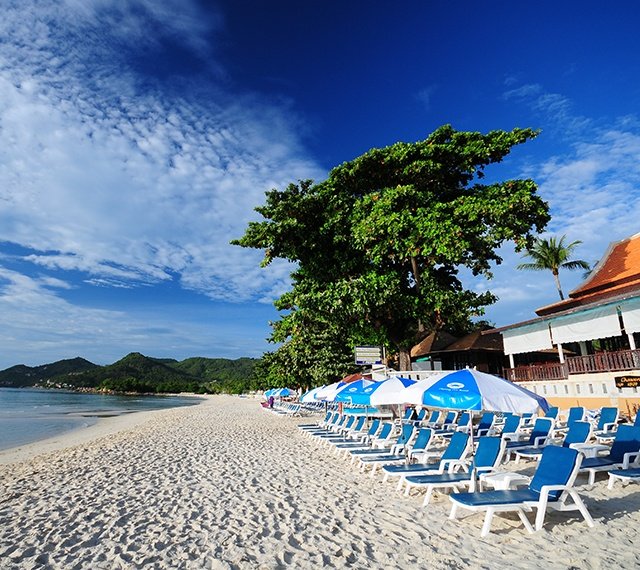 Chaweng Cove Beach Resort - Gallery image 4