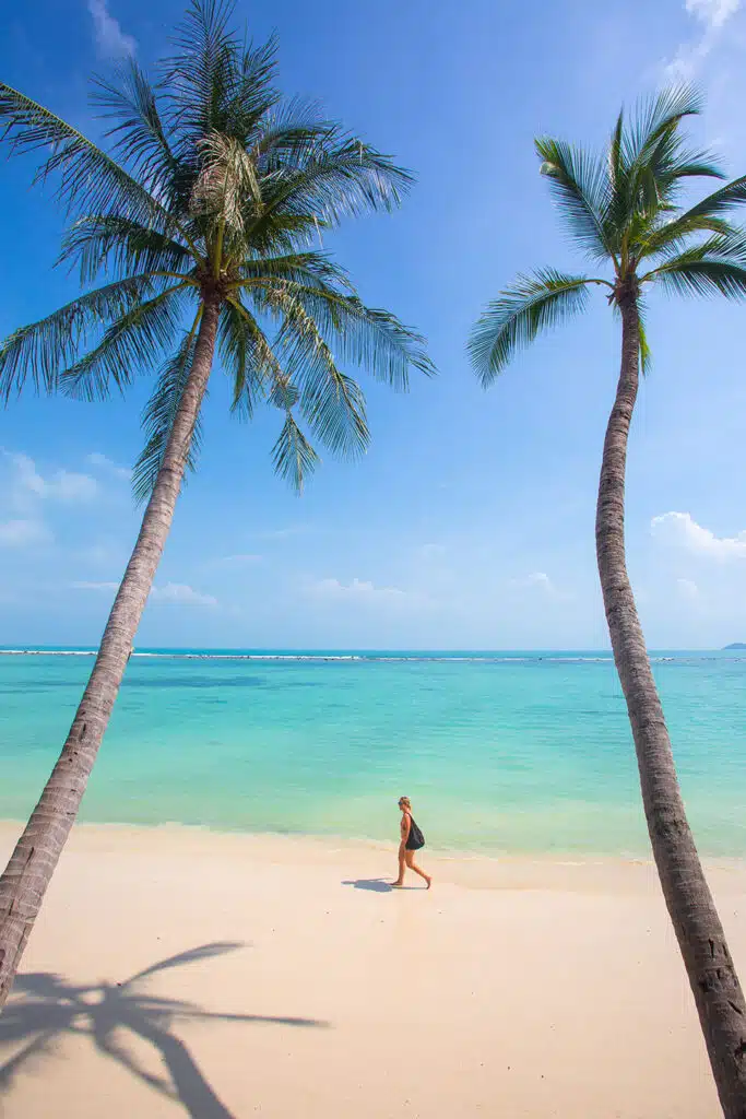 Chaweng Regent Beach Resort - Gallery image 5