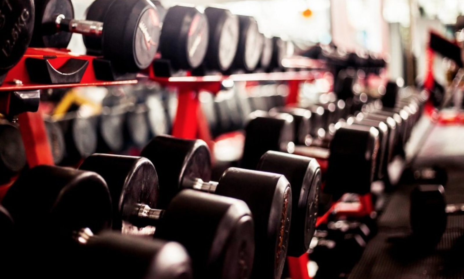 Classic Gym & Fitness - Gallery image 5