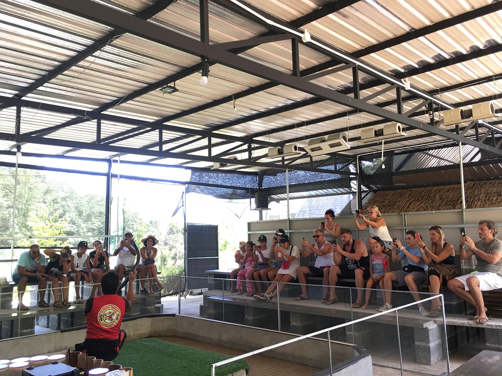 Cobra Show Thailand