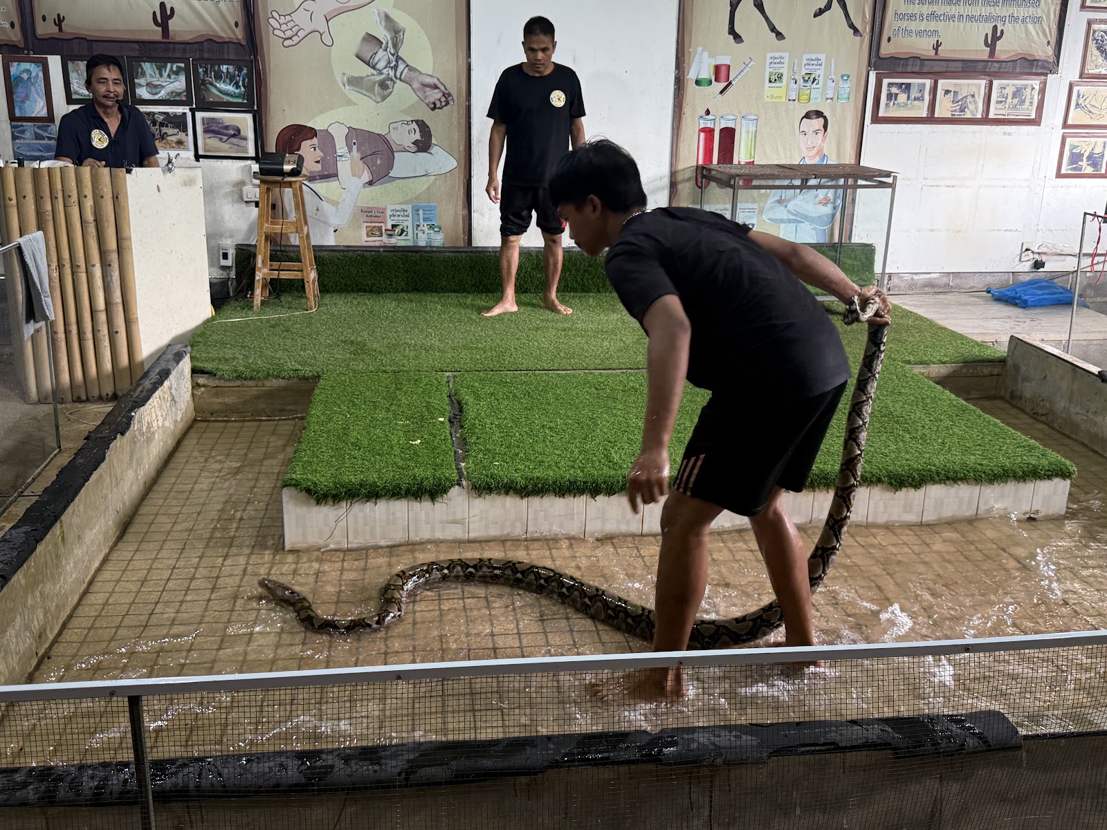Cobra Show Thailand - Gallery image 4