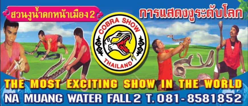 Cobra Show Thailand - Gallery image 6