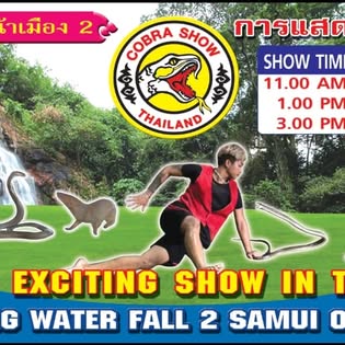 Cobra Show Thailand - Gallery image 9