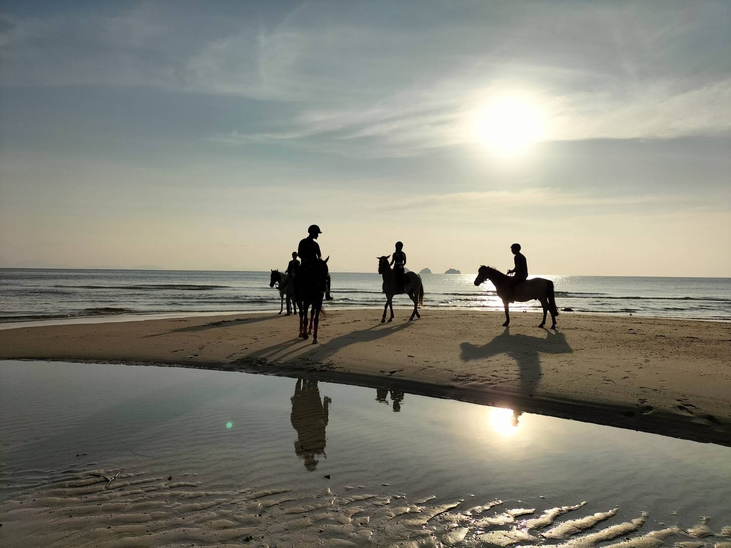 Coco Samui Riding Club