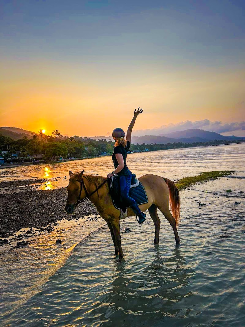 COLTS Horse Riding - Gallery image 2