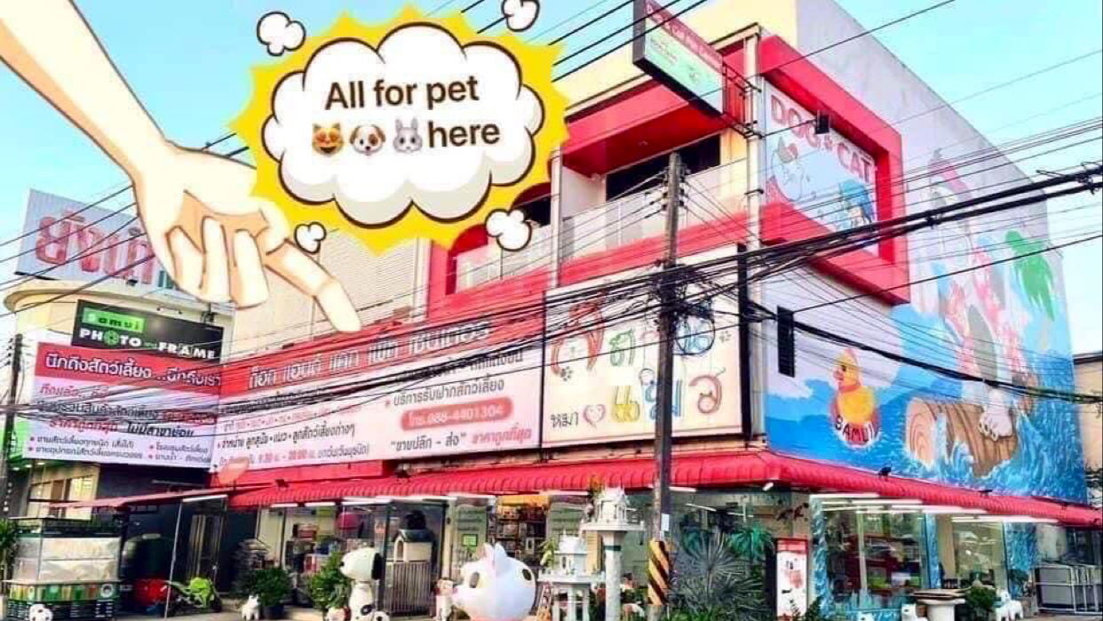 Dog And Cat Pet Center