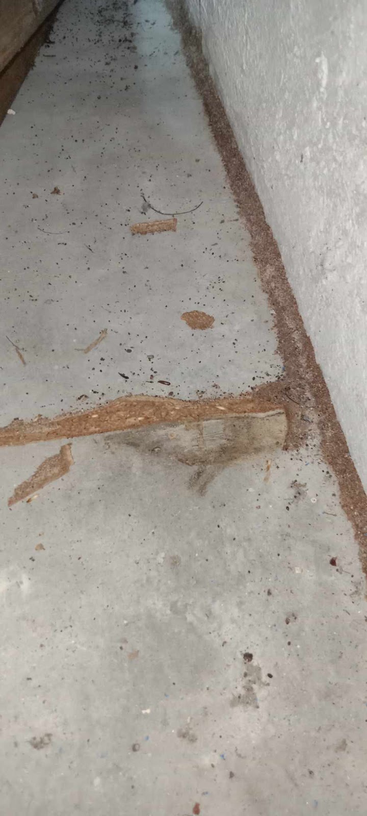 Ecopest