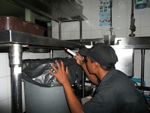 Ecopest - Gallery image 9