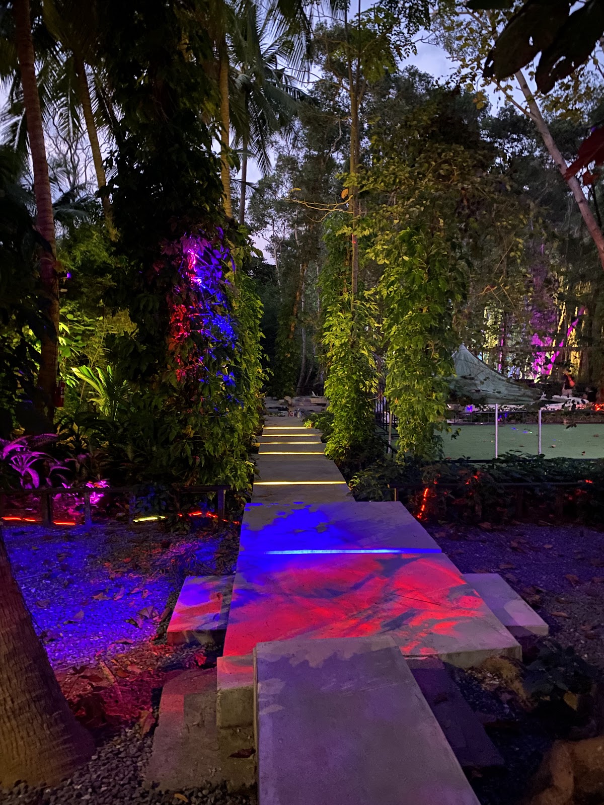 Electric Forest Art Park