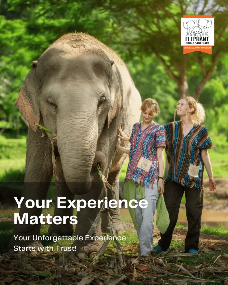 Elephant Jungle Sanctuary - Gallery image 7