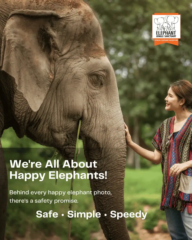 Elephant Jungle Sanctuary - Gallery image 9