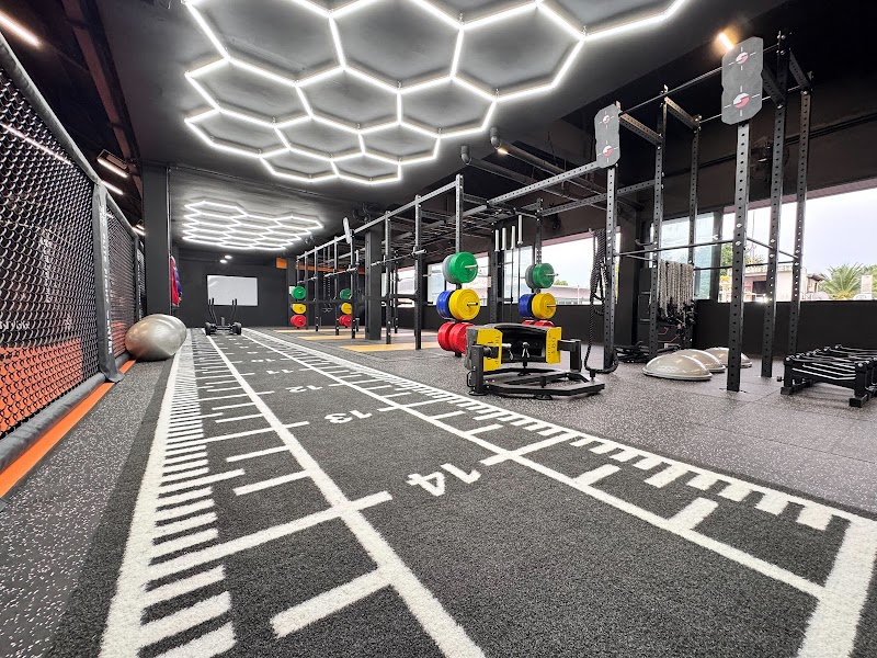 Elite Fight Center - Gallery image 2