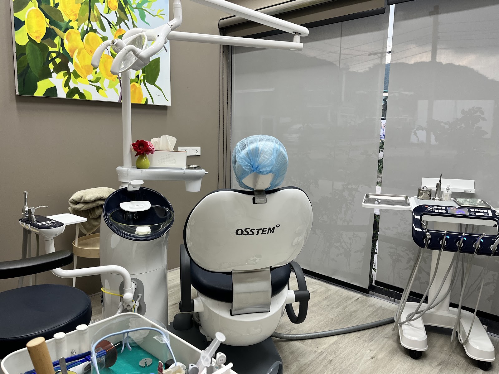 Floss Dental