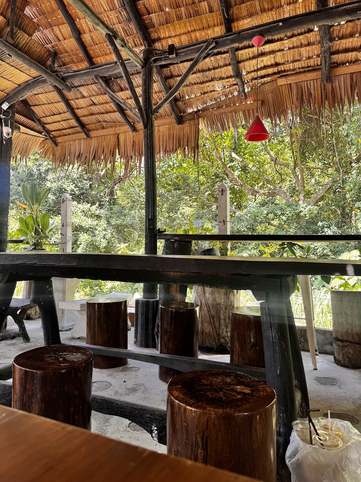 Forest Whisper Cafe - Gallery image 4