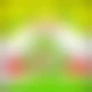 Green Bird - Gallery image 6