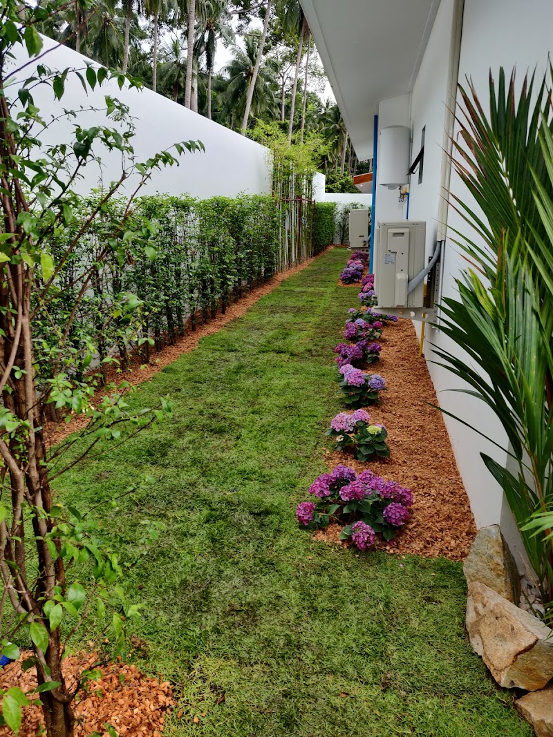 Green Garden Services