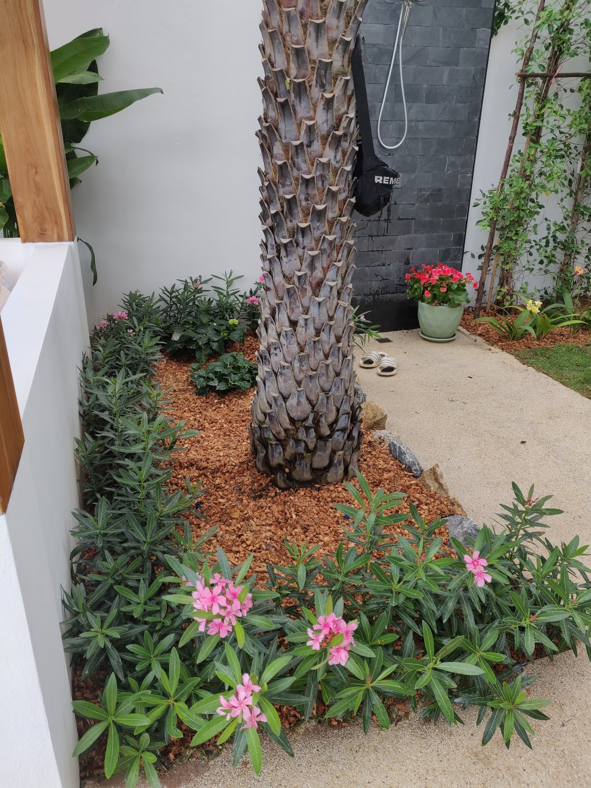 Green Garden Services - Gallery image 5