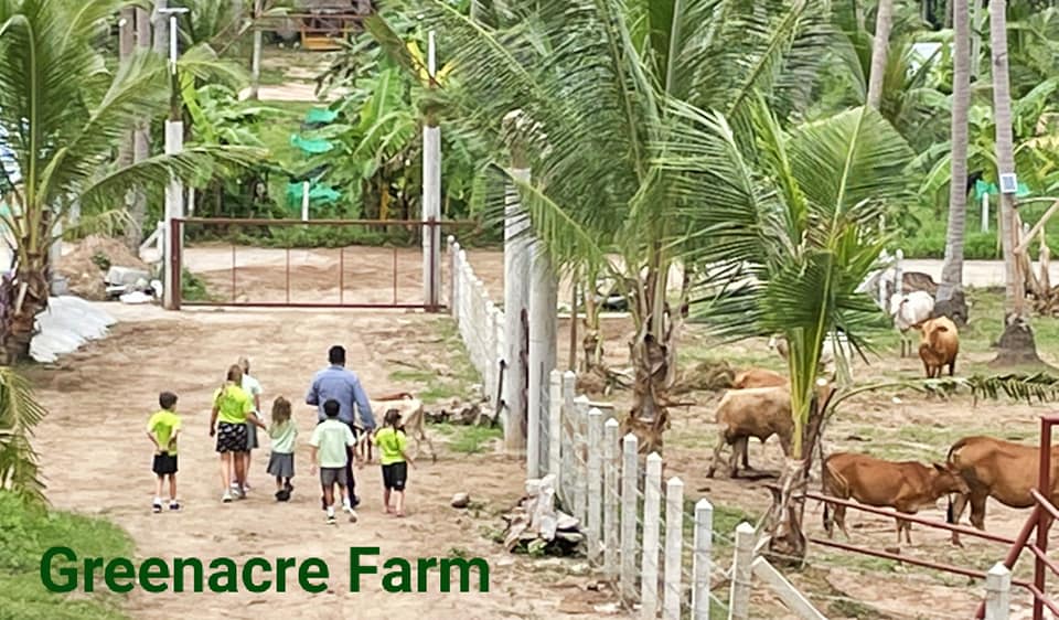 Greenacre International School
