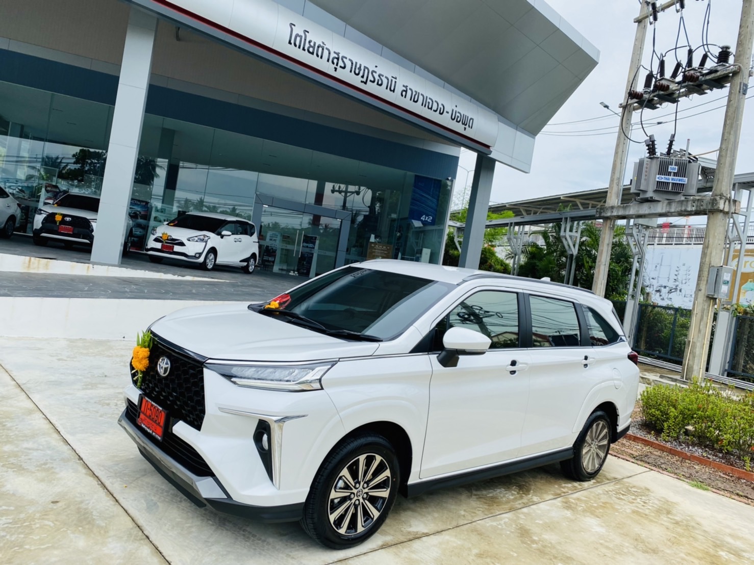 Hakuna Rent - Samui