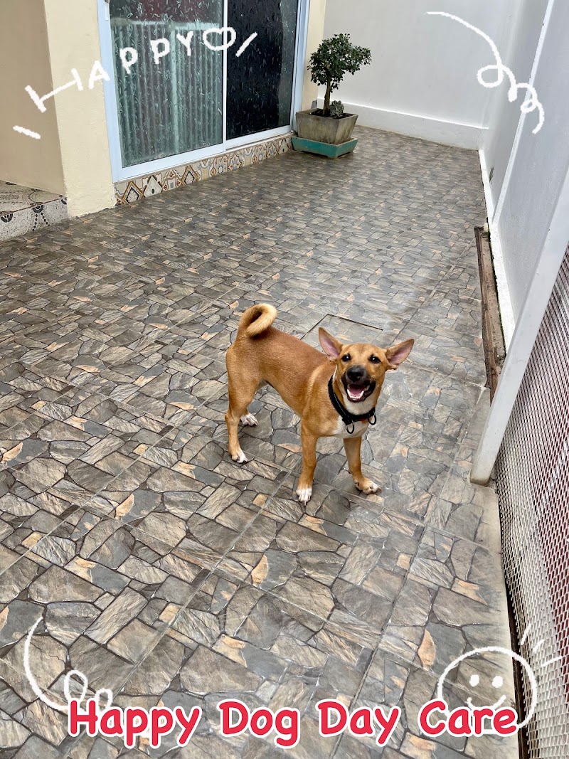 Happy Dog Day Care - Gallery image 2
