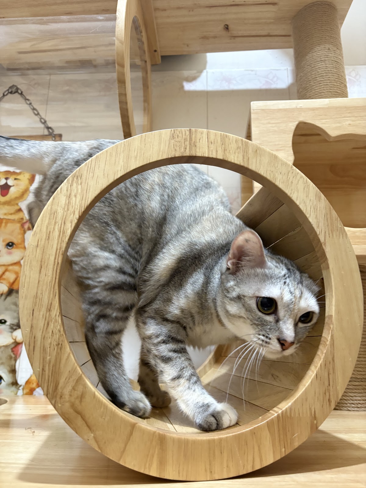Happy Meaow Hotel