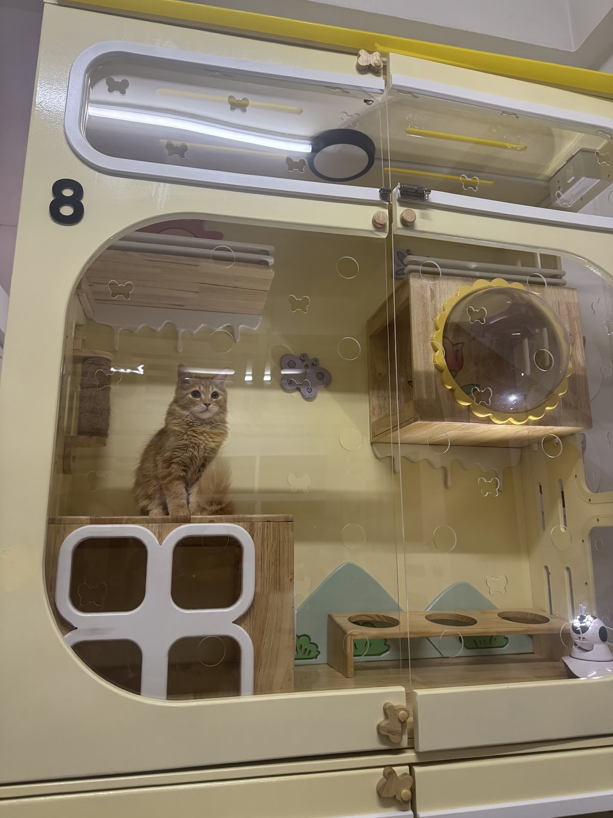 Happy Meaow Hotel - Gallery image 4