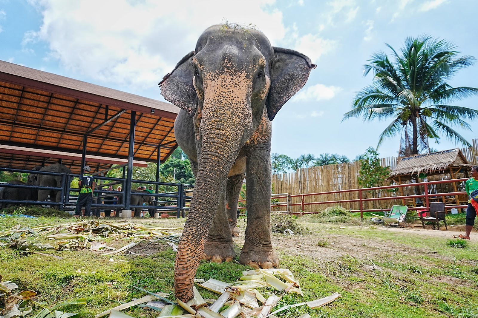 Happy Samui Tours - Gallery image 4