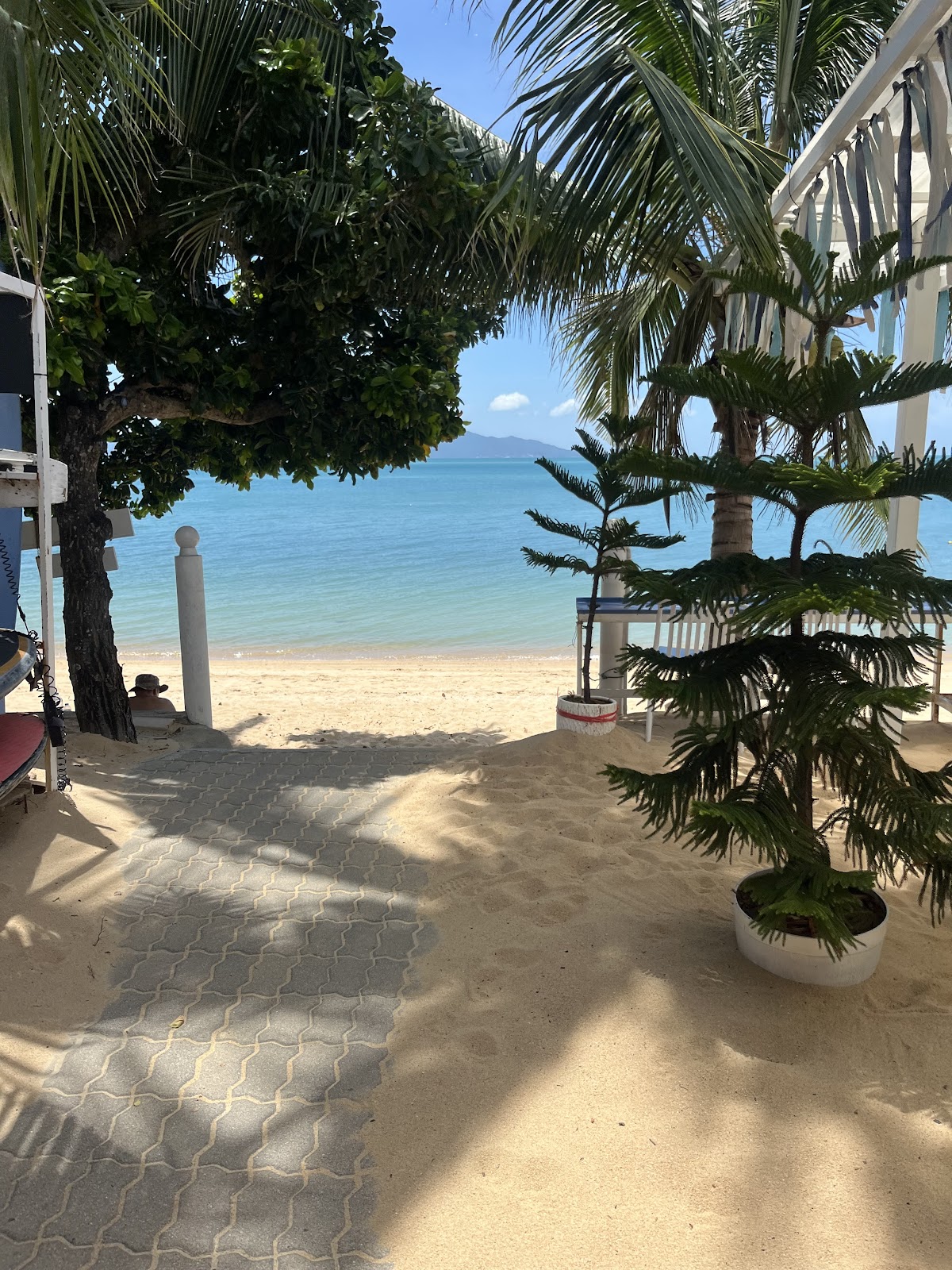 Have a good day Beach Cafe - Gallery image 4