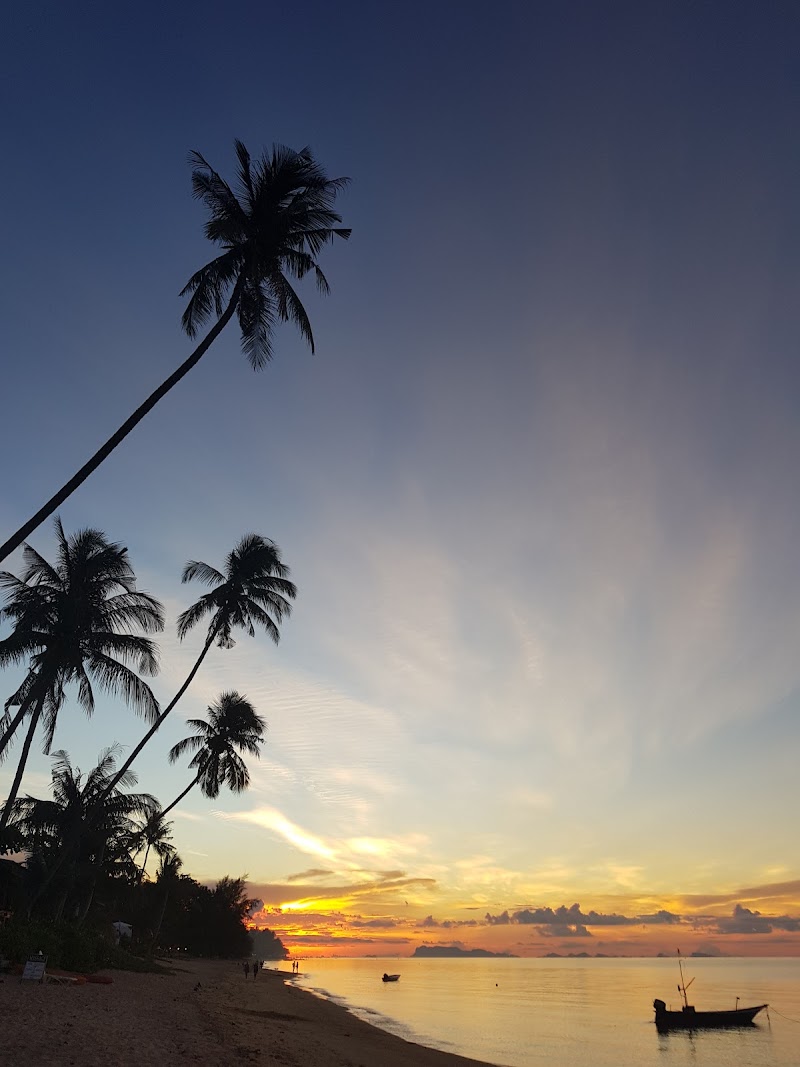 Health Retreat Samui - Gallery image 2