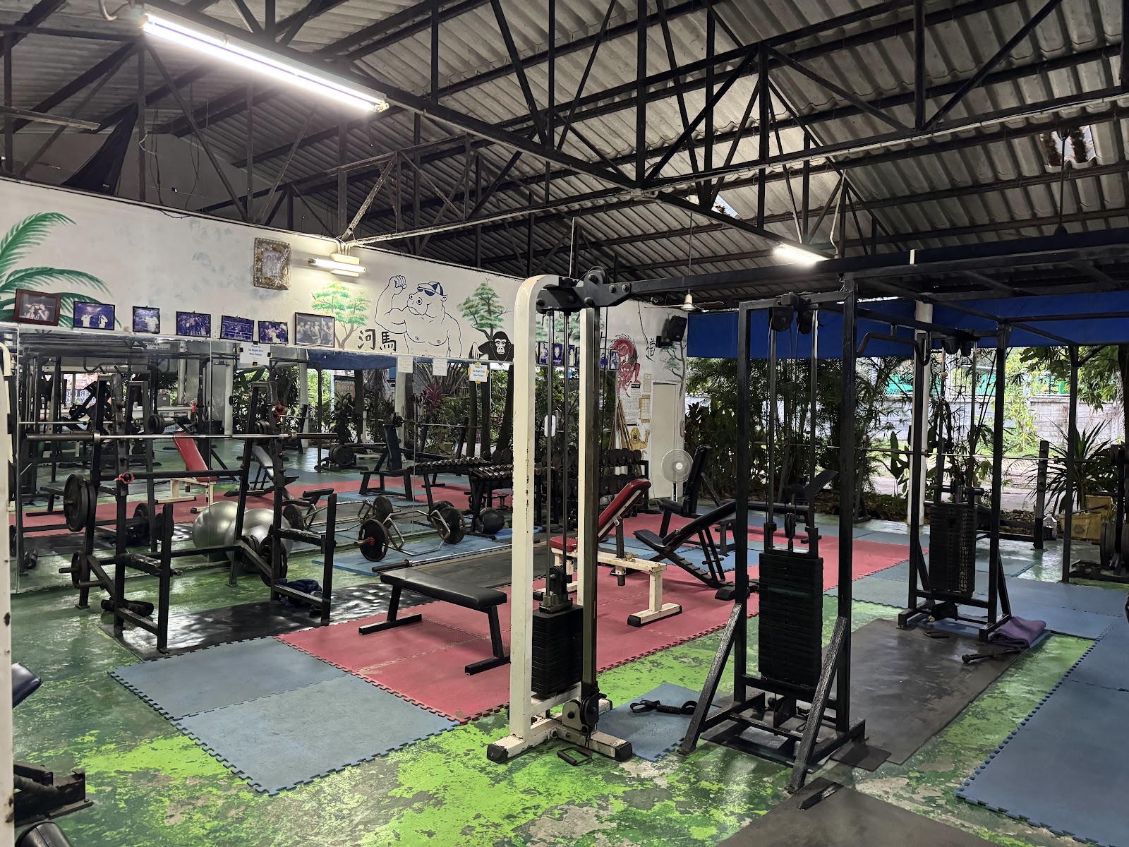 Hippo's Gym