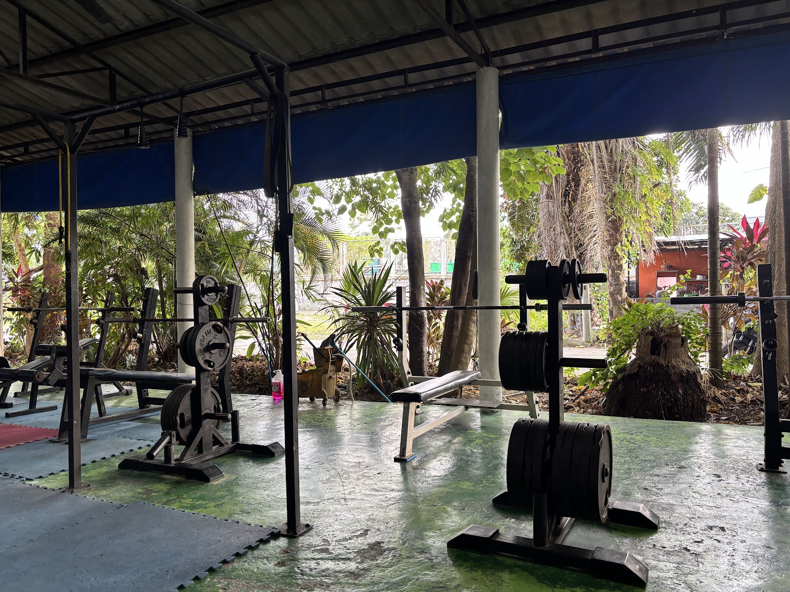 Hippo's Gym