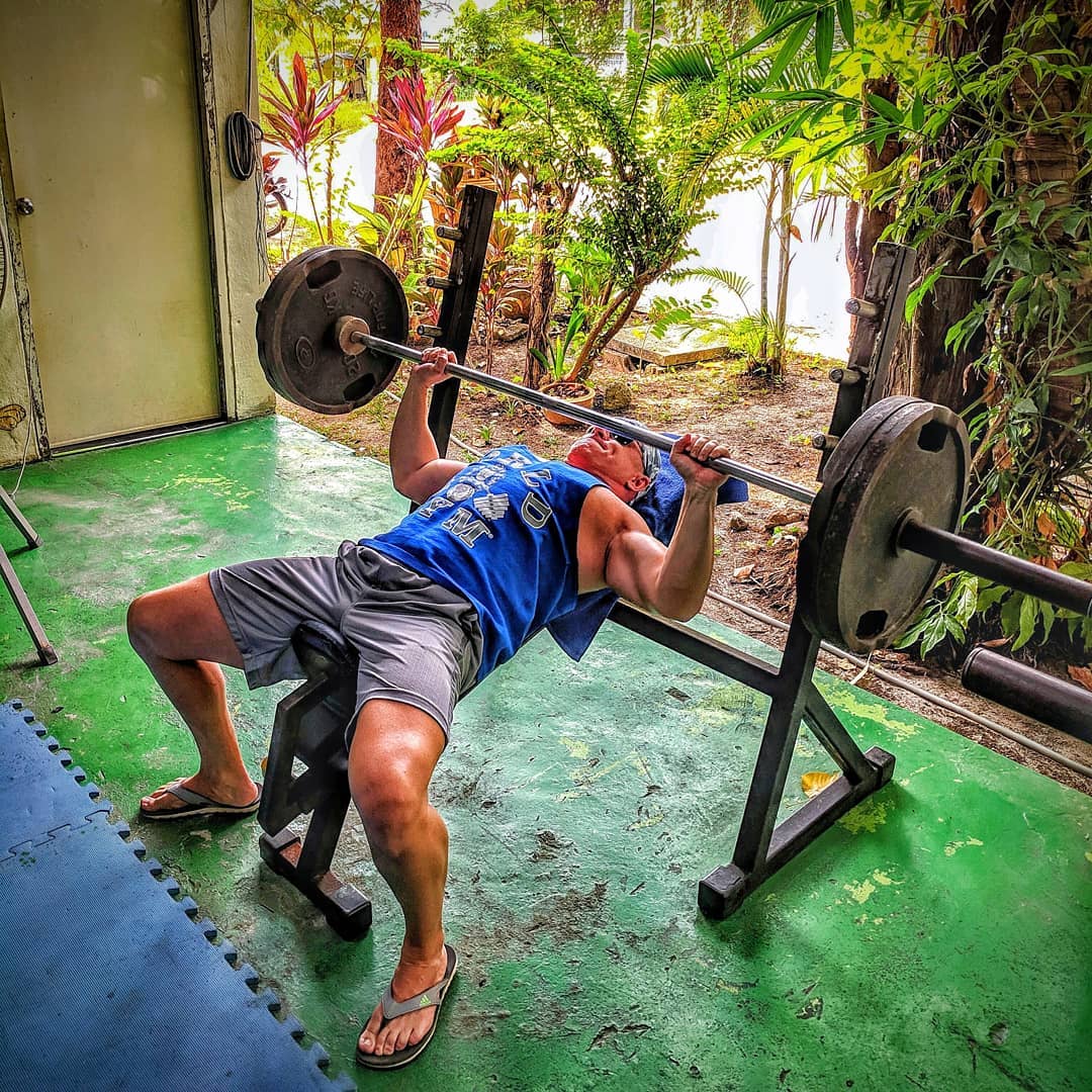 Hippo's Gym - Gallery image 4